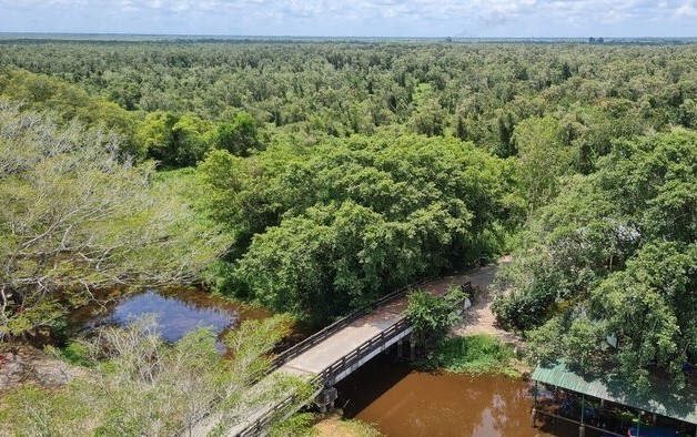 Ca Mau calls for investment in the U Minh Ha National Park area to make this place a leading resort tourist destination in the Mekong Delta. Photo: Nhat Ho
