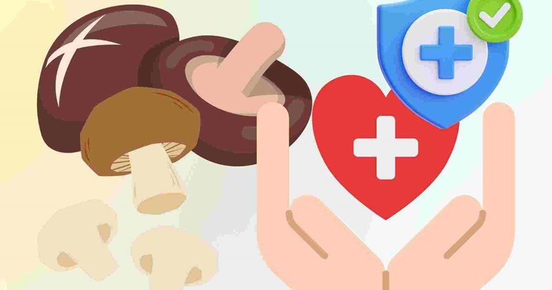 5 lợi ích của nấm được khoa học chứng minh bảo vệ sức khỏe