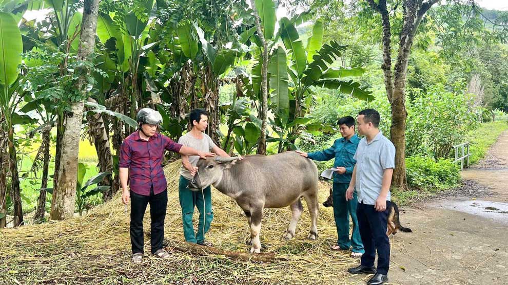 Tuyên truyền, vận động người dân chủ động phòng, chống dịch bệnh cho đàn vật nuôi. Ảnh: CTTĐT xã Khánh Hòa.