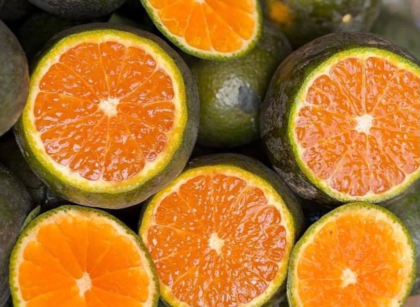 People with diabetes can still add oranges to their diet, but with reasonable dosage and use. Photo: Kieu Vu