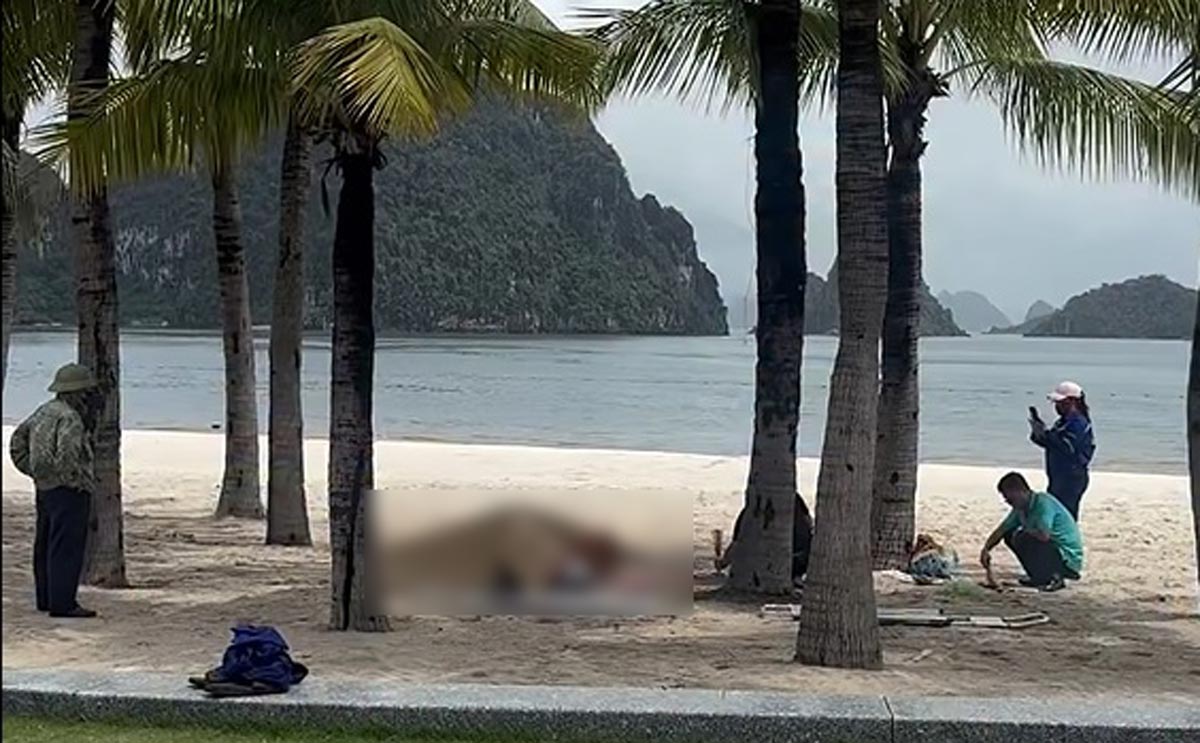 Quang Ninh Rescue Team brings the victims' bodies ashore. Photo: Dieu Hoang