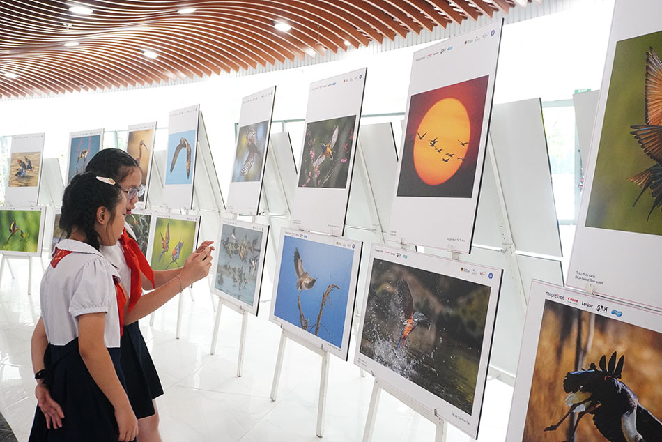 Học sinh tham quan các bức tranh về thiên nhiên, sinh vật được trưng bày tại chương trình. Ảnh: Trần Thi