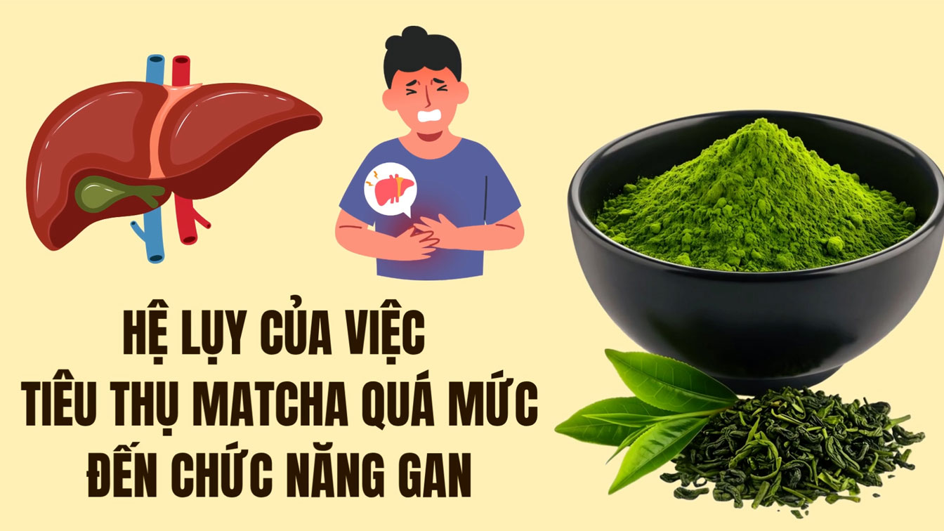 Overconsuming matcha will harm liver function