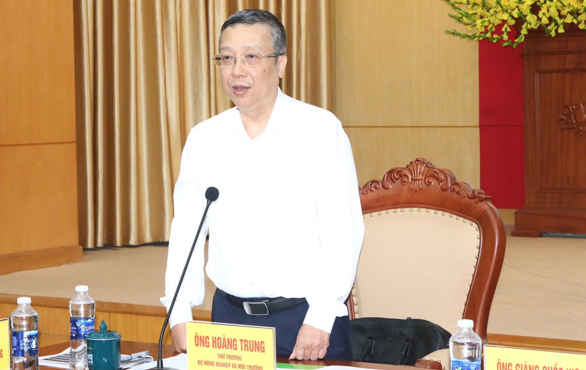 Thứ trưởng Hoàng Trung phát biểu kết luận buổi làm việc