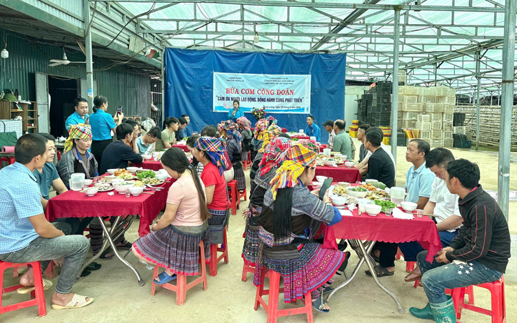 Trade Union Meals" become a support for workers in mountainous areas. Photo: An Vi