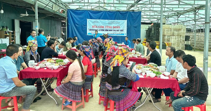 Cơm Công đoàn" ấm lòng công nhân nhà máy nấm Lào Cai