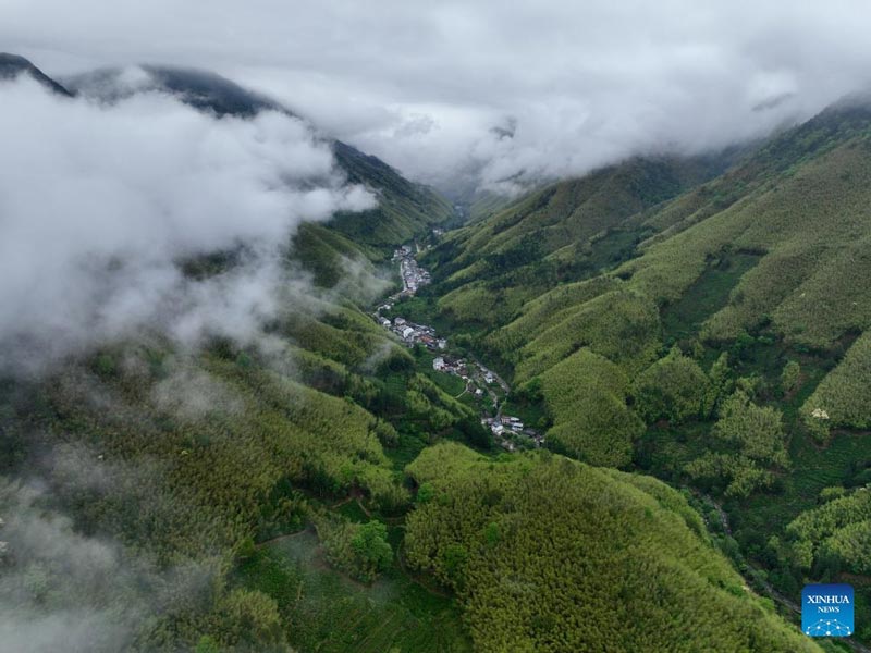 Green zone" is where the rate of people living over 100 years old is higher than usual. Photo: Xinhua