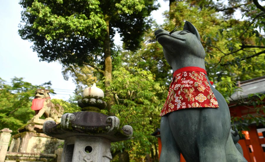 Một tượng cáo nằm trong khu rừng phía sau chính điện Fushimi Inari Taisha.  Ảnh: Việt Văn