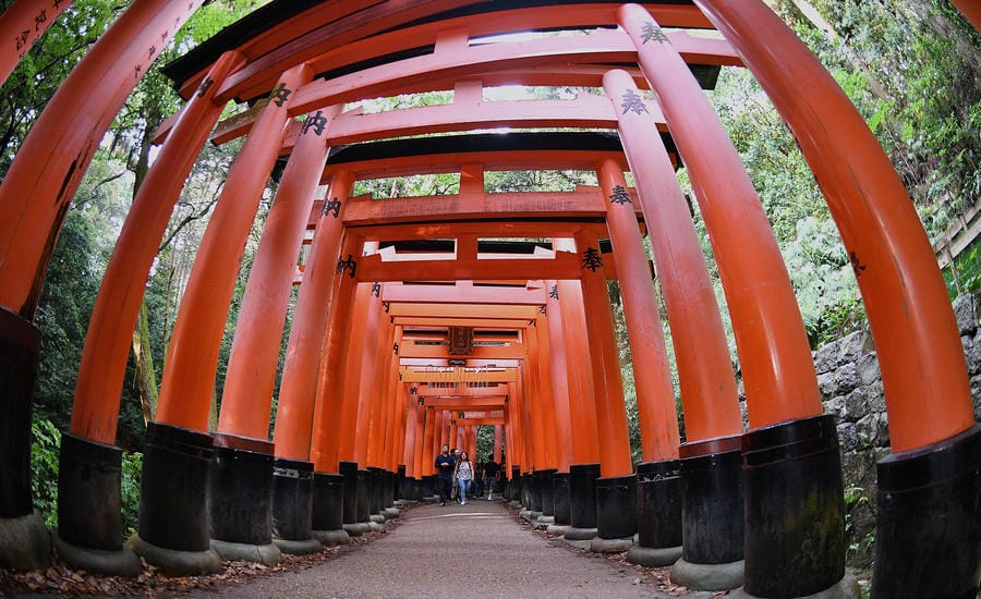 Slow step in the "forest" of red poles. Photo: Viet Van