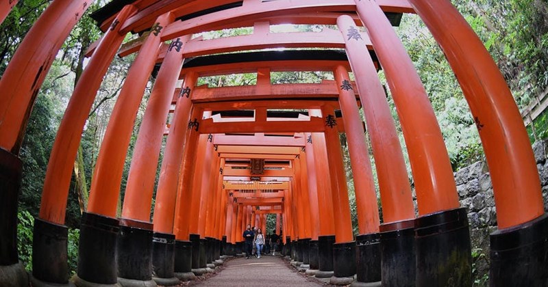 Du khách chậm bước giữa "rừng" cột đỏ Fushimi Inari