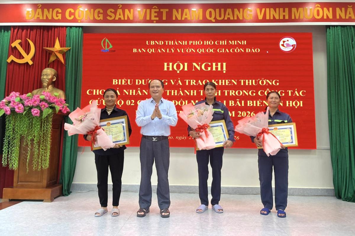 Awarding commendations to female workers who rescued rare sea turtles in Con Dao. Photo: VQGCĐ