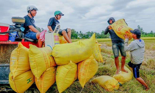 Khơi thông dòng vốn cho nông nghiệp xanh, bền vững