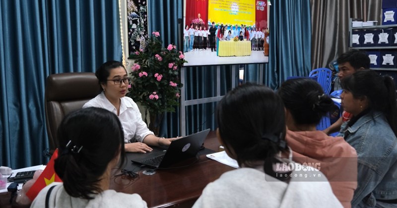 Sập bẫy môi giới, bài học đắt giá cho lao động đi làm mùa vụ