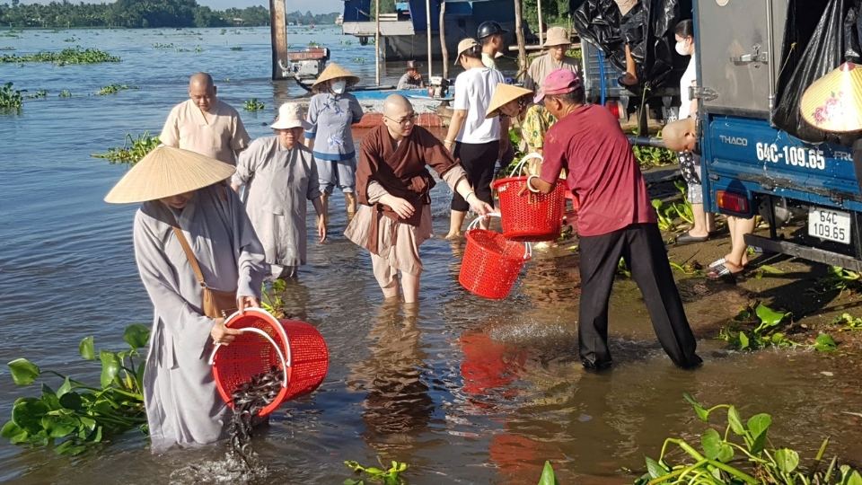 Thả cá giống tái tạo nguồn lợi thủy sản và bảo vệ môi trường sinh thái
