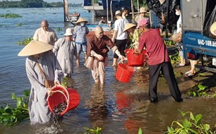 Thả cá giống tái tạo nguồn lợi thủy sản và bảo vệ môi trường sinh thái