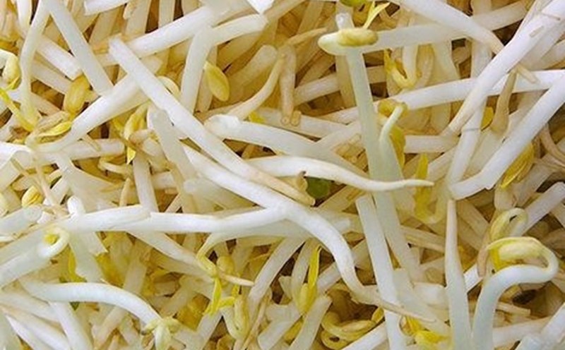 How to use bean sprouts safely and effectively