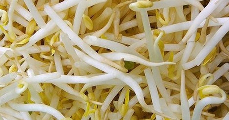Cách sử dụng rau mầm an toàn và hiệu quả