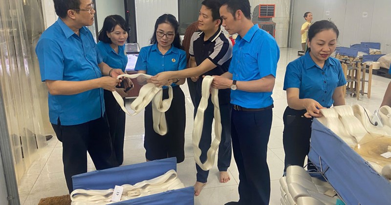 Trade union "se duyên" for silkworm industry and highland farmers