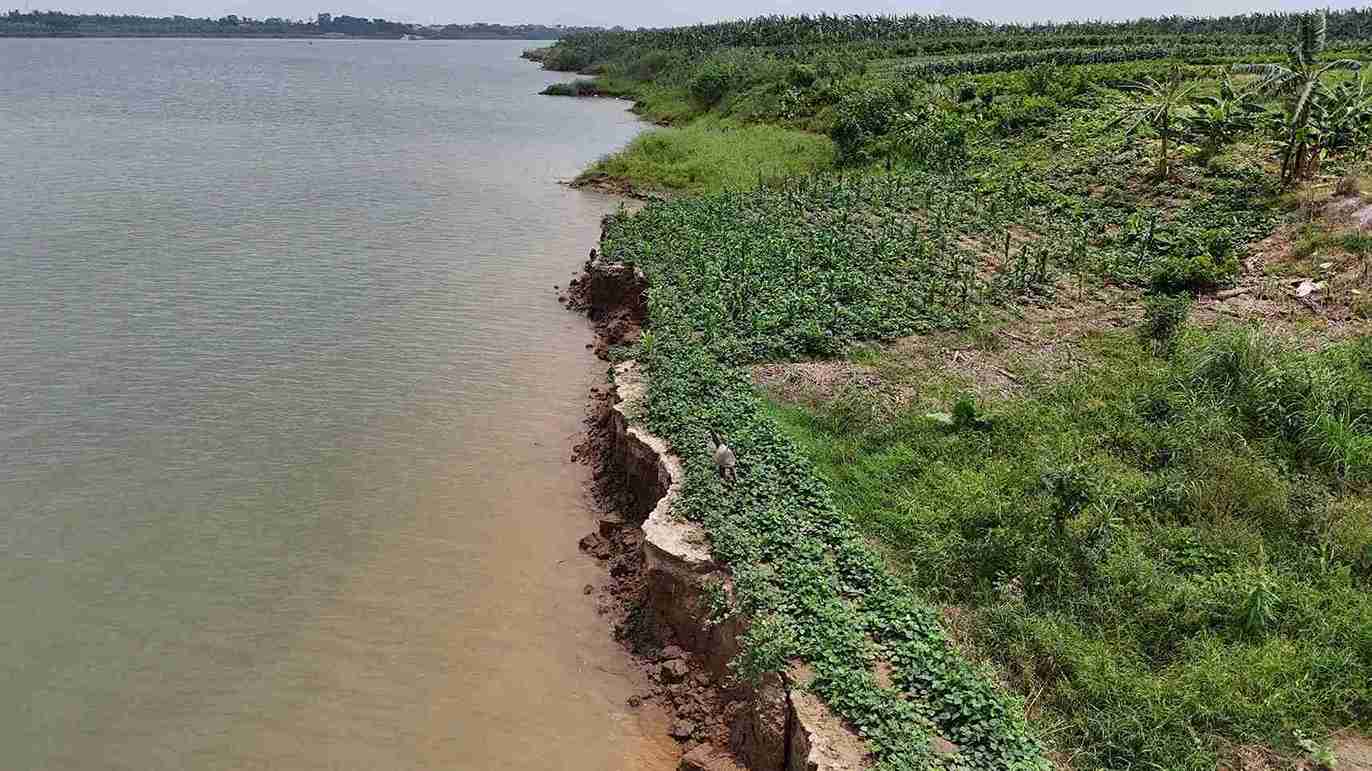 Vice Chairman of the Provincial People's Committee requests a comprehensive assessment of the causes of riverbank erosion on the Red River. Photo: Mai Huong