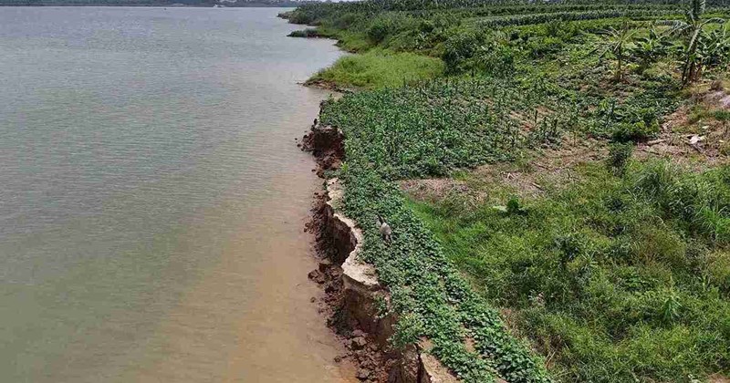 Hưng Yên: Đánh giá nguyên nhân sạt lở bờ sông Hồng
