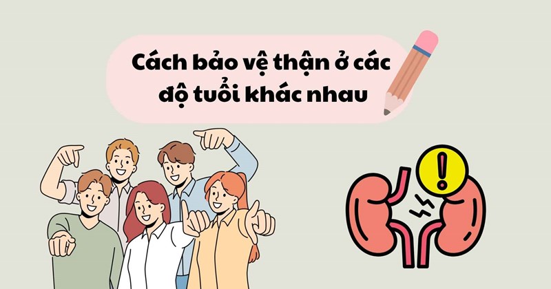 Bảo vệ thận khỏe mạnh ở mọi lứa tuổi