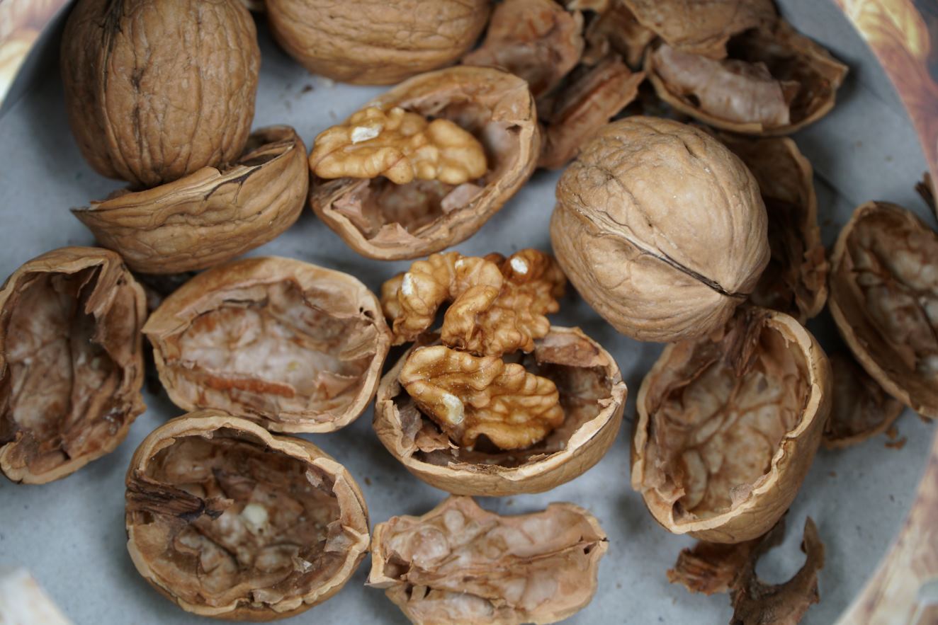 Adding walnuts to the diet brings many health benefits. Photo: Thanh Thanh