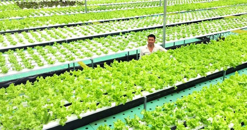 Lâm Đồng khẳng định vị thế trung tâm nông nghiệp công nghệ cao