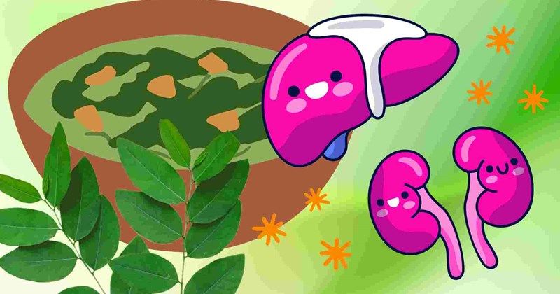 Món canh giải nhiệt, hỗ trợ gan thận ngày nắng nóng