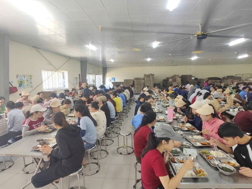 Trade Union Meals" contribute to caring for the lives and binding workers with businesses at Vinatex Hoang Mai Garment Joint Stock Company. Photo: Nghe An Trade Union