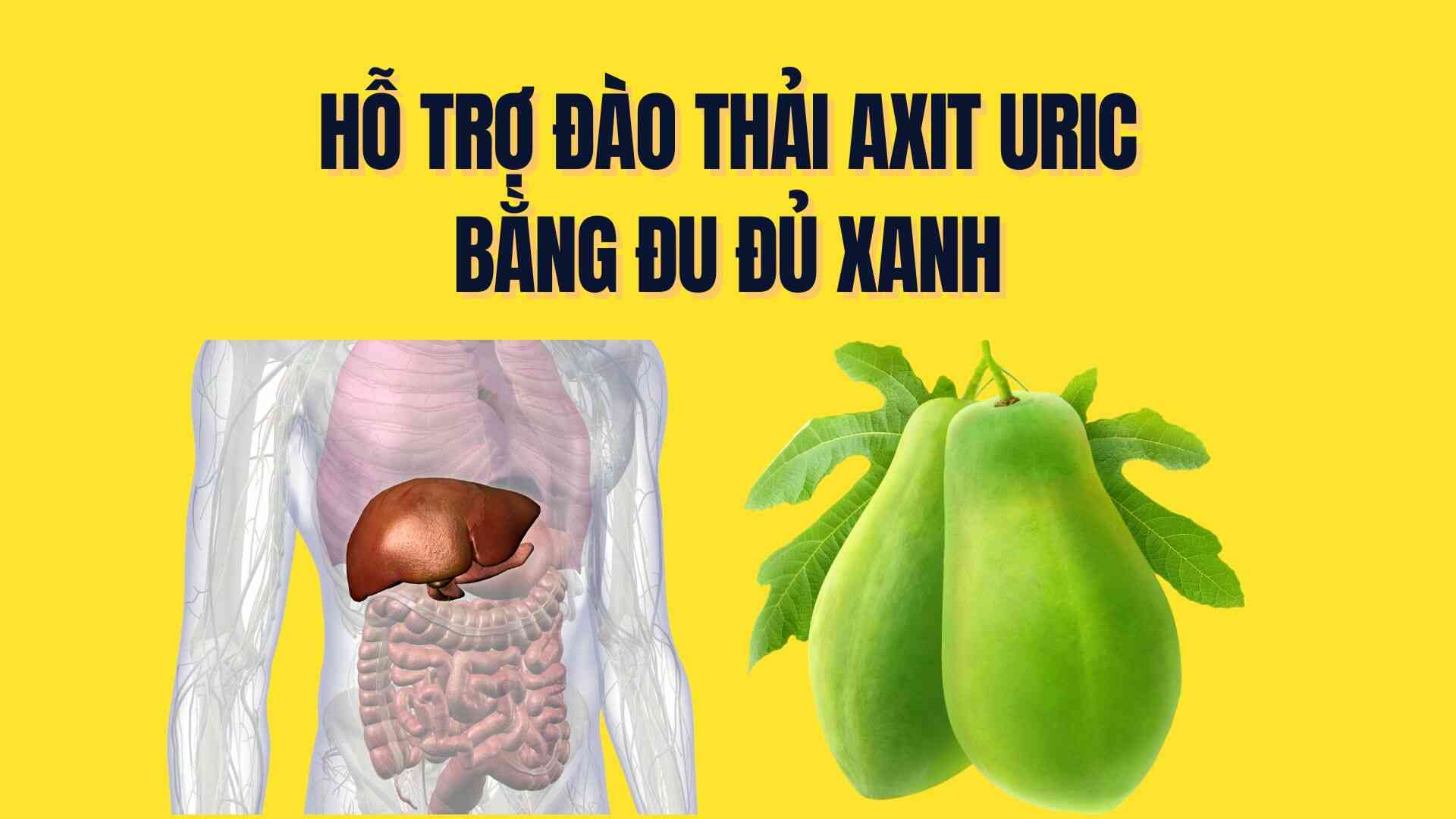 Effectively supports uric acid excretion thanks to green papaya. Graphics: Tra My