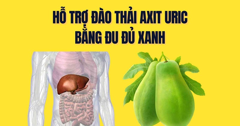 Đu đủ xanh hỗ trợ đào thải acid uric hiệu quả