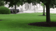 Reporters and White House security forces react when hearing gunshots. Photo: AFP