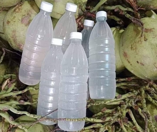 Drinking enough water or supplementing with other types of water such as coconut water is a simple way to detoxify the body that any housewife can do daily. Photo: Kieu Vu