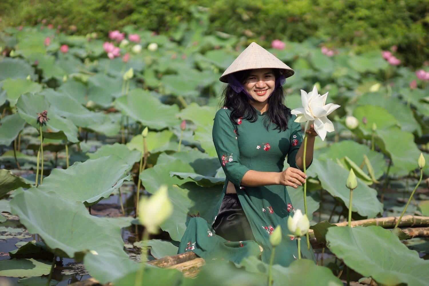 Tourists check-in with lotus flowers in Hue. Photo: Ngo Hien.
