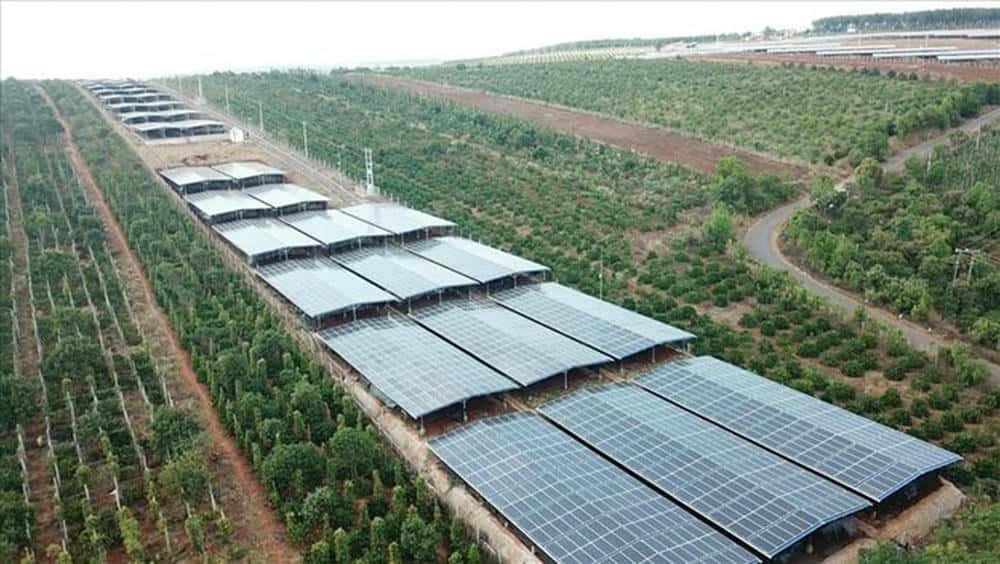 Dự án năng lượng mặt trời ở Gia Lai. Ảnh: Thanh Tuấn