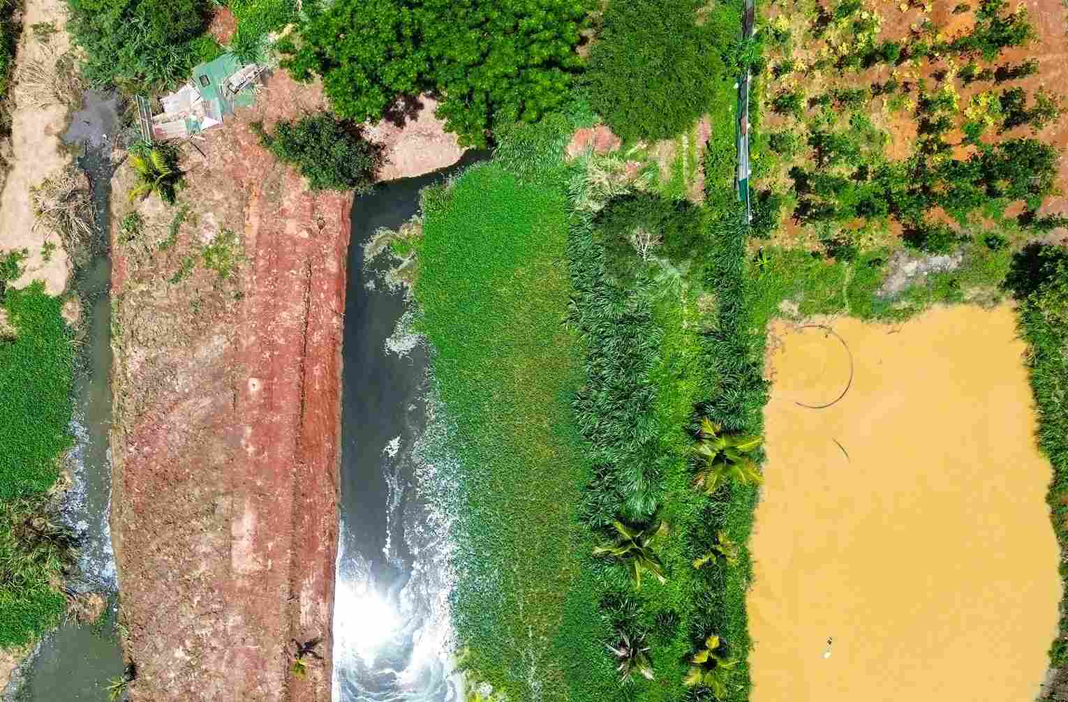 Hồ chứa nước thải để lộ thiên phía sau khu chuồng trại bốc mùi hôi thối nồng nặc. Ảnh: Phúc Khánh