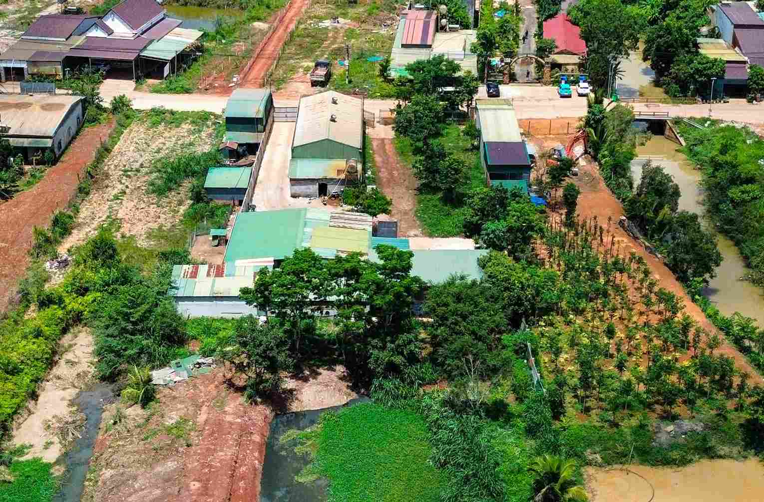 Điểm tập kết heo của bà Sen xây dựng không phép trong khu dân cư tại xã Quảng Sơn gây ô nhiễm môi trường. Ảnh: Phúc Khánh