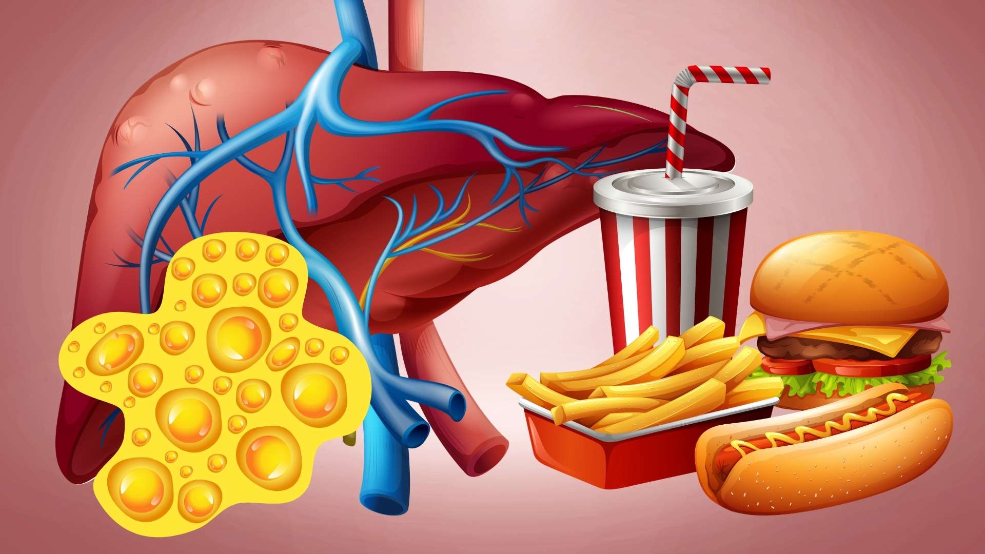 What does waistline say about your liver health