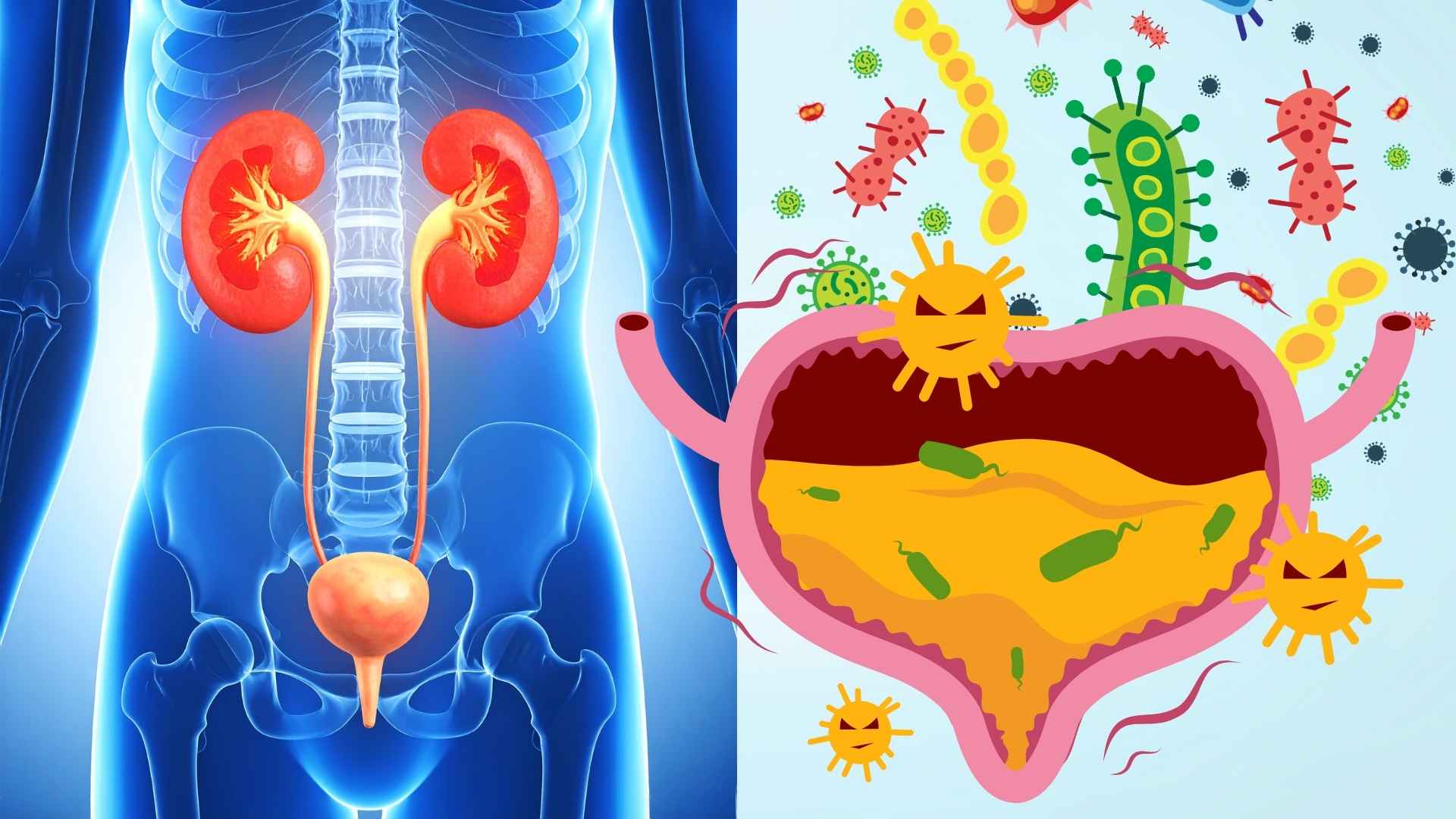 Recurrent urinary tract infections, what is the body warning