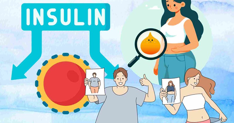 Cách hiệu quả cải thiện kháng insulin, giảm mỡ bụng sau 90 ngày