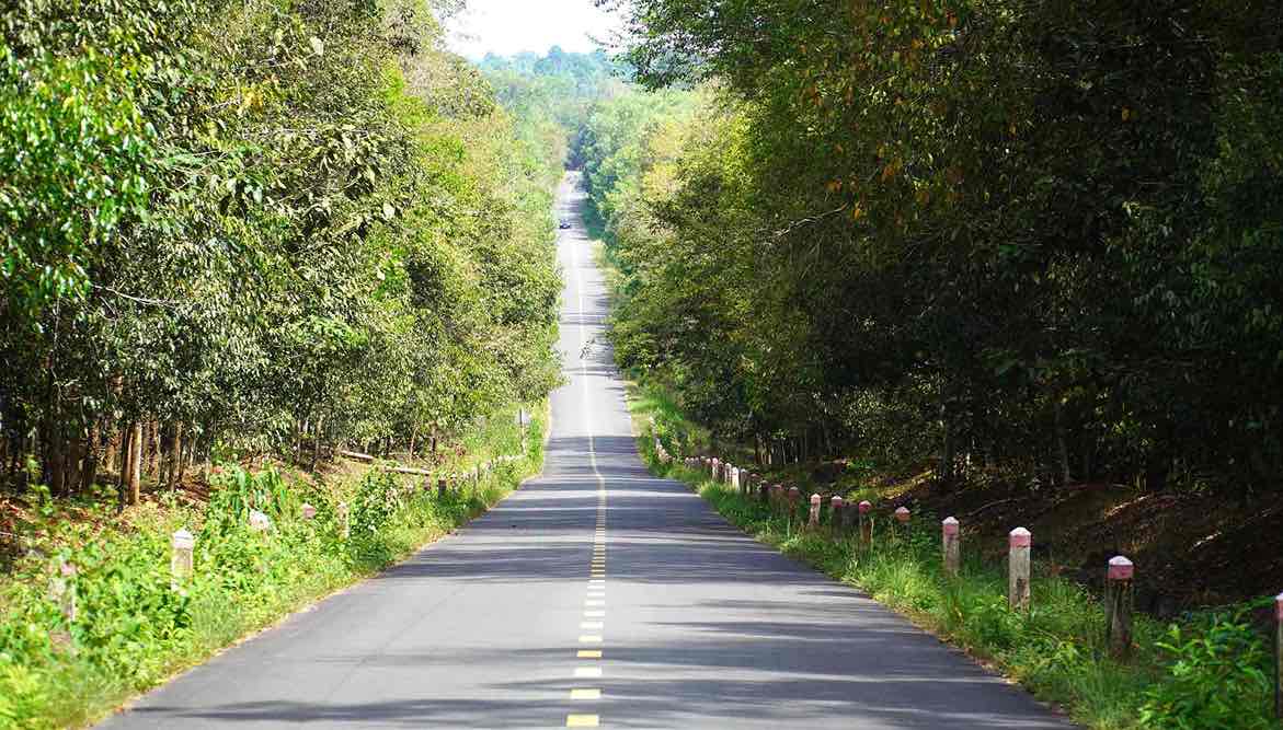 Dong Nai city has many roads and main roads named after numbers. Photo source: HAC