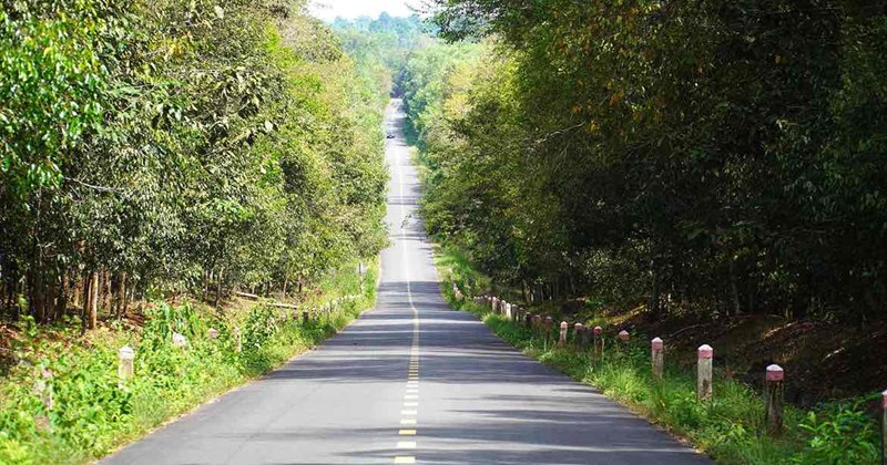 Biên Hòa xem xét đặt tên đường phố theo người nổi tiếng