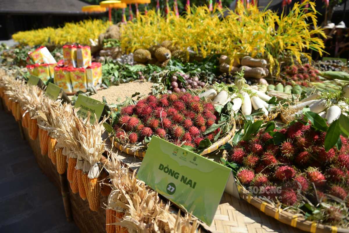 Những chiếc thuyền rước cờ và sản vật đặc trưng của các vùng miền nối đuôi nhau trên dòng sông Ngô Đồng. Ảnh: Hà Vi