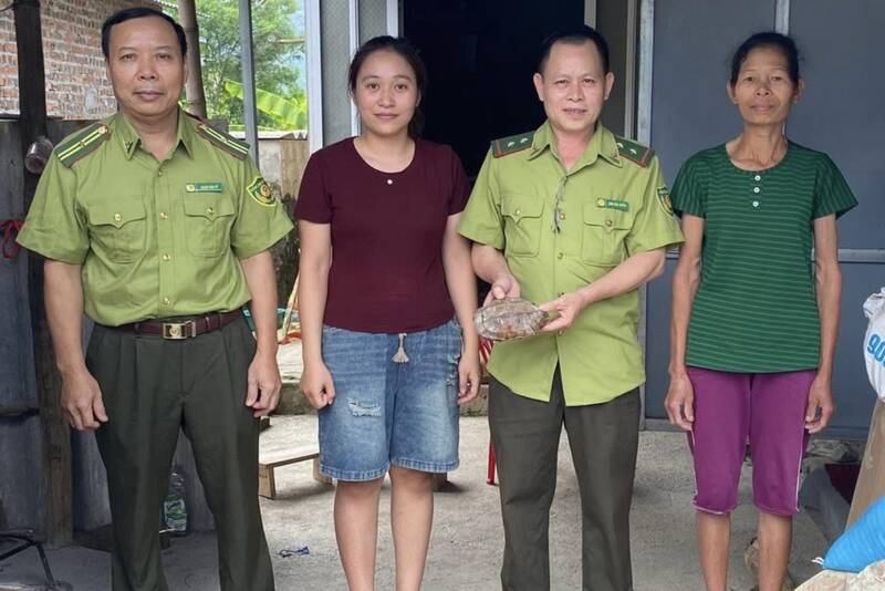 People in the Cang sub-area, Phu Yen commune, Son La province voluntarily hand over a rare rare seedling sand turtle to the local forest rangers. Photo: Son La Forest Protection Department
