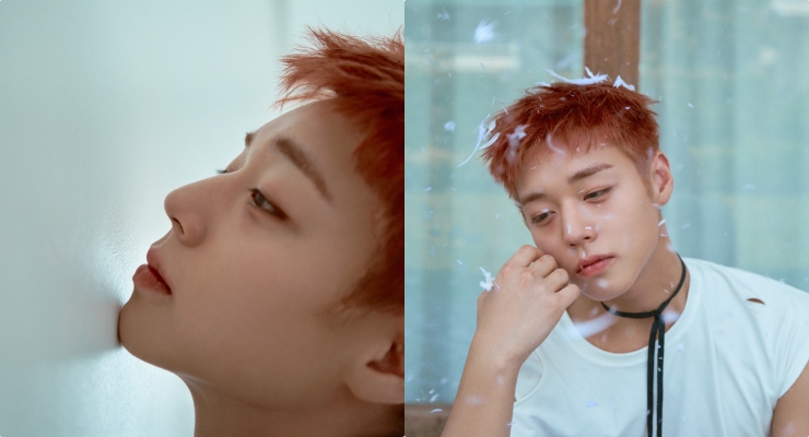 박지훈. 사진: 캉 미디어