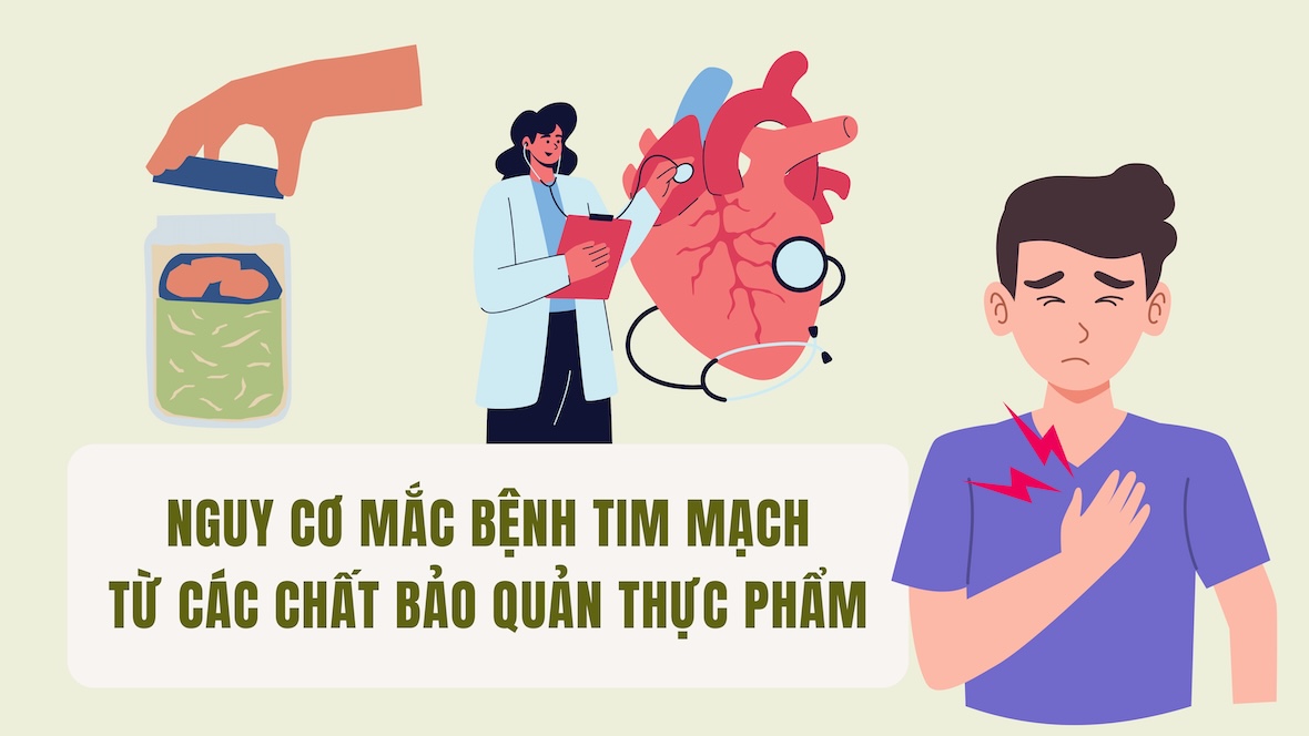 Risk of cardiovascular disease from food preservatives