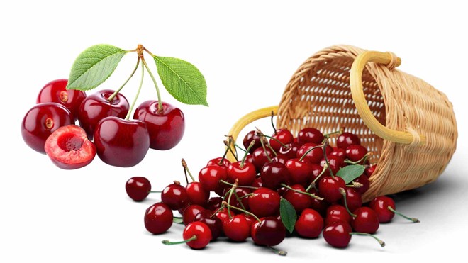 Cherries help support blood pressure stabilization, prevent high uric acid. Graphics: Ha May