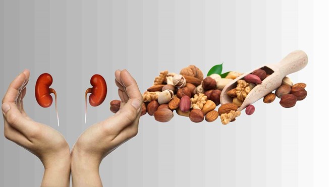 Supplement with nuts that are good for kidney health. Graphics: Ha May