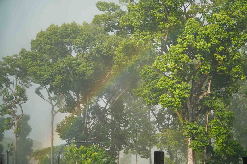Mưa dông xuất hiện tại khu vực trung tâm TPHCM dù trời vẫn còn nắng và xuất hiện cầu vồng. Ảnh: Ngọc Ánh