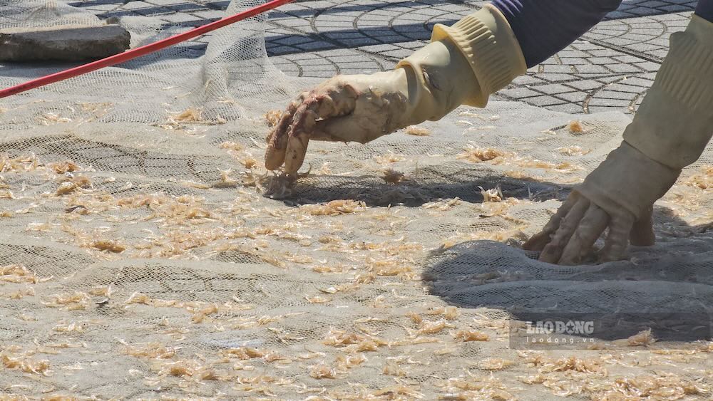Những bàn tay liên tục đảo ruốc dưới thời tiết nắng gắt, khó chịu. Ảnh: Nguyễn Luân